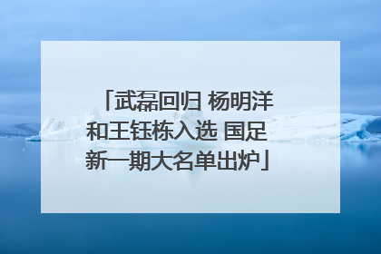 武磊回归 杨明洋和王钰栋入选 国足新一期大名单出炉